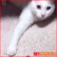kirakira.gif